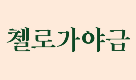 첼로가야금 로고