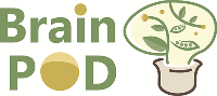 주식회사 브레인팟 로고
