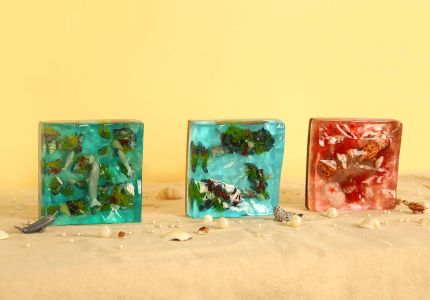 대한민국 멸종위기 동물 (점박이물범, 상괭이, 푸른바다거북) 3종 코스터