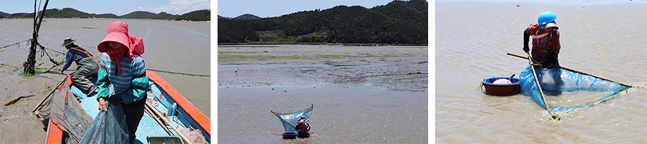 하단 내용 참조