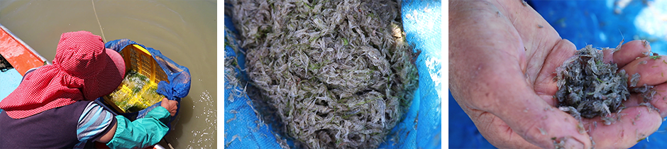 하단 내용 참조