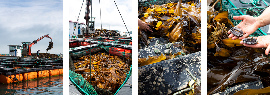 하단 내용 참조