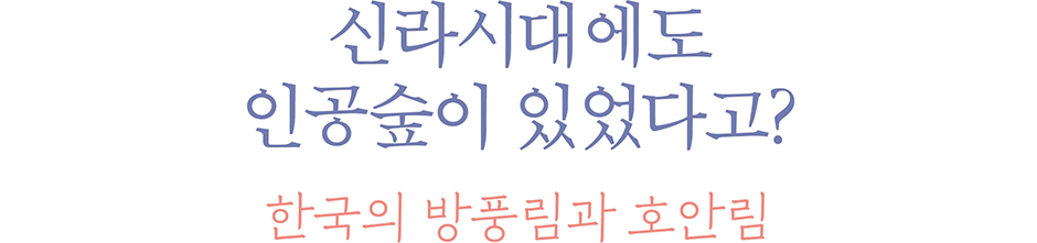 신라시대에도 인공숲이 있었다고? 한국의 방풍림과 호안림