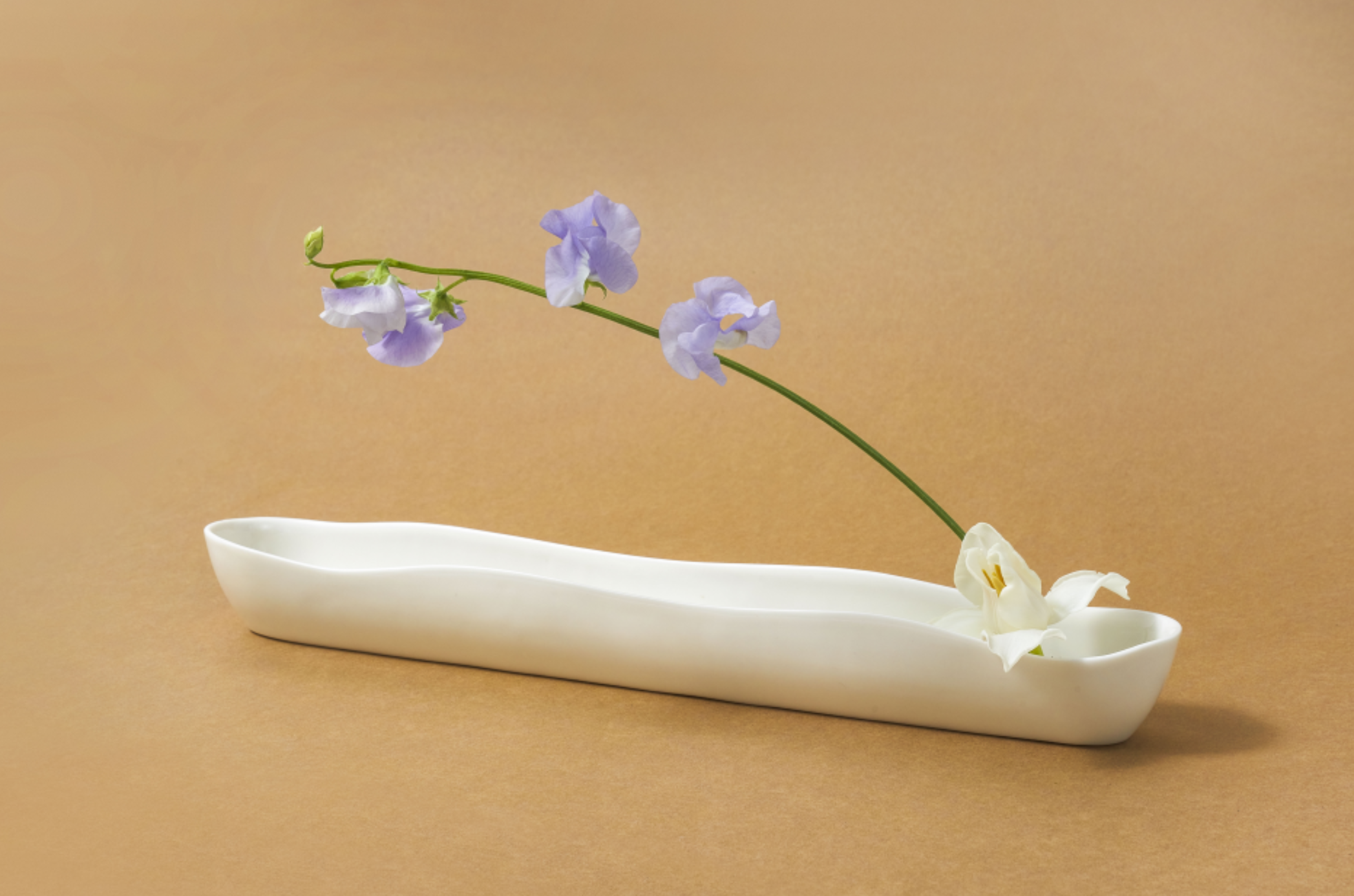 Bloom Vase / Bowl 사진