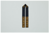 앞댕기