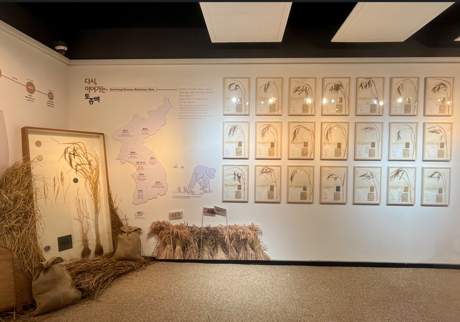한식문화공간 이음, ‘토종쌀로路’ 기획특별전 개막