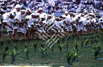 두레  관련 이미지1