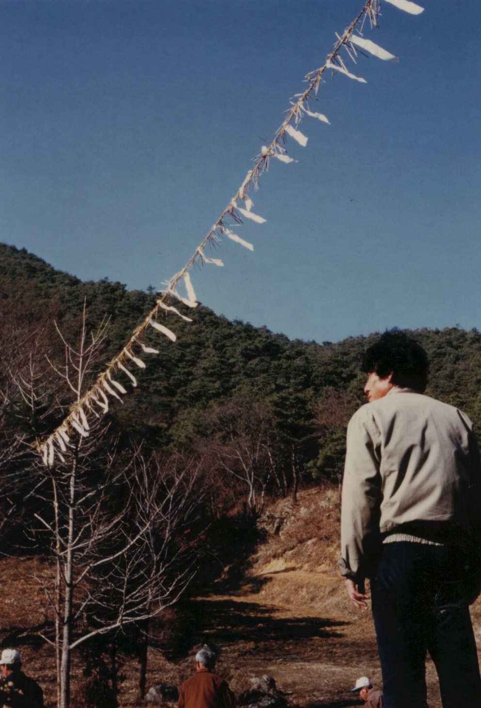금줄