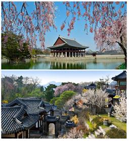 꽃 피는 봄, 활짝 열린 궁궐과 왕릉!