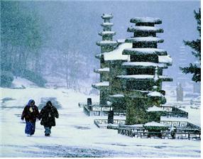「화순 운주사 석불석탑군」세계유산 잠정목록 등재